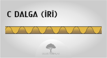 C Dalga (İri)