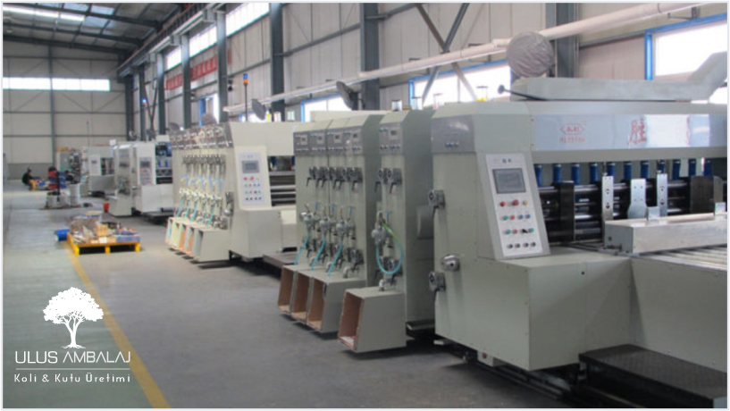 kutu ve koli üretici fabrika